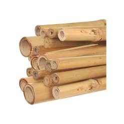 4-Foot Natural First Cut Premium Bamboo Stakes, 10-12 Mm Diameter, Bundle Of 250