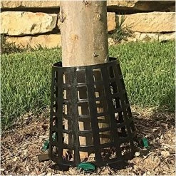 Plant Knight Plant And Tree Guard -Black - 3 Pack -Garden-green plant growth care pkbl3 live 1
