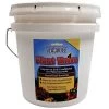 Plant Thrive Beneficial Bacteria 28 Ounce Pail -Garden-green plant growth care pt28