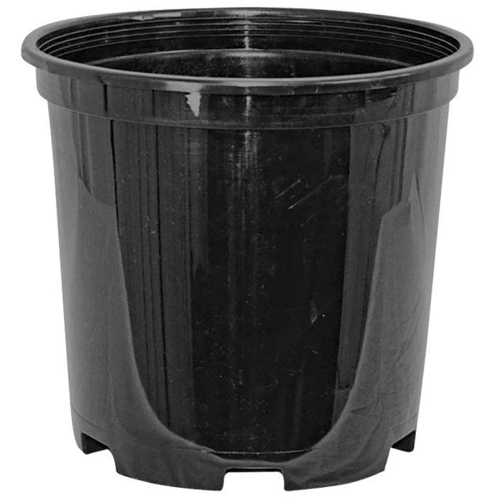 NSI Injection Molded Container Trade 2 3 NSI Injection Molded Container Trade 2