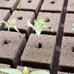 OASIS; Grower Solutions Horticubes; XL Foam Medium, 162 Cell -Garden-green plant growth care rc104 2 3