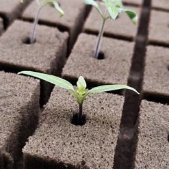 OASIS Grower Solutions Horticubes XL Foam Medium, 276 Cell -Garden-green plant growth care rc104 3 4