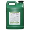 Regalia; Organic Bio-Fungicide -Garden-green plant growth care reg1g