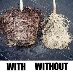 Root Maker Injection Molded 3 Gallon Container, Case Of 15 -Garden-green plant growth care rmc3 2