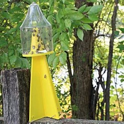 Stink Bug Dead Inn Trap -Garden-green plant growth care sb3441 2