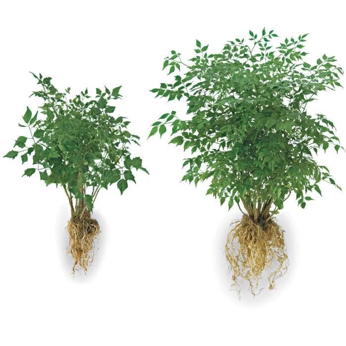 Soil Moist Transplant Formula 5lb Pail 4 Soil Moist Transplant Formula 5lb Pail - Image 2