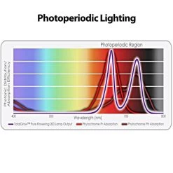 TotalGrow Pure Flowering 200 Lamp -Garden-green plant growth care tg1a4 2