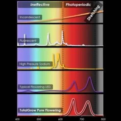 TotalGrow Pure Flowering 200 Lamp -Garden-green plant growth care tg1a4 5
