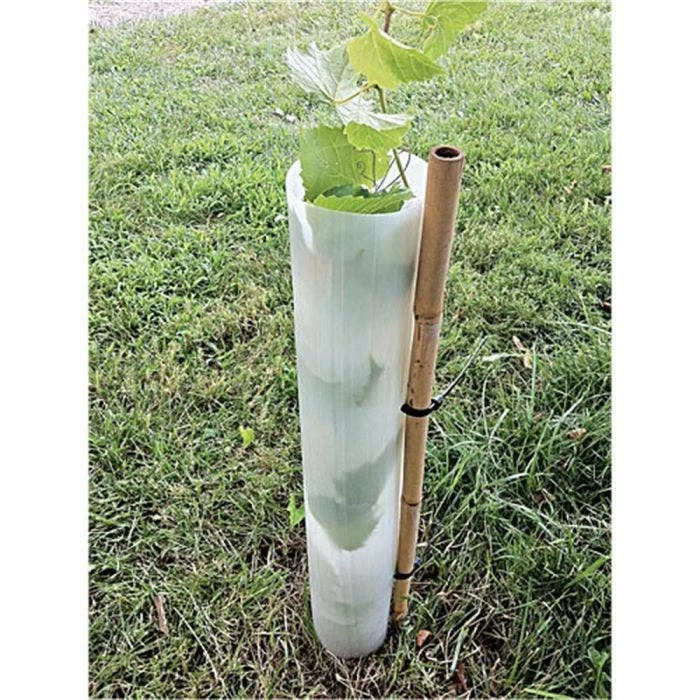 Tree Pro 36-Inch Slit Tube Tree Shelters, Bundle Of 5 5 Tree Pro 36-Inch Slit Tube Tree Shelters, Bundle Of 5 - Image 3