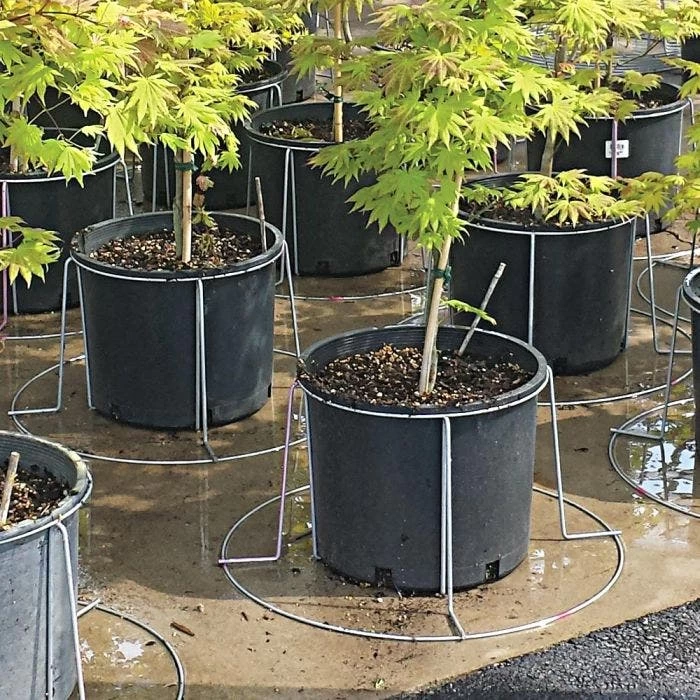 Better Bilt TopHat Plant Container Stabilizer 4 Better Bilt TopHat Plant Container Stabilizer - Image 2