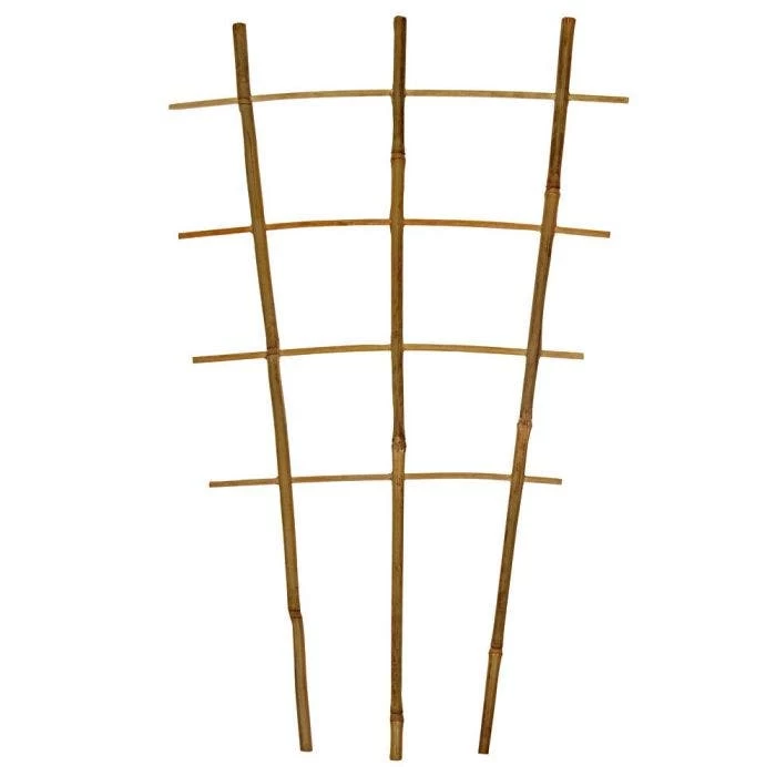 Bamboo Trellis Ladder Fan Bundles Of 50 3 Bamboo Trellis Ladder Fan Bundles Of 50