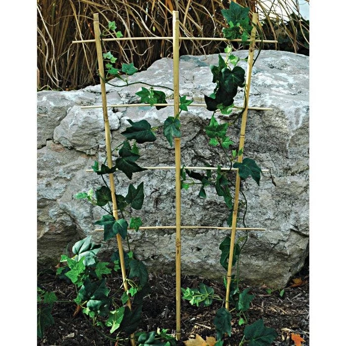 Bamboo Trellis Ladder Fan Bundles Of 50 4 Bamboo Trellis Ladder Fan Bundles Of 50 - Image 2