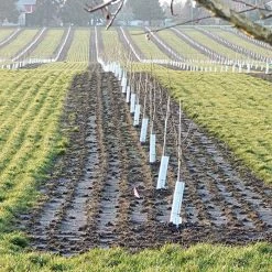 Tree Guard Corrugated Plastic Black White 32in X 12in -Garden-green plant growth care vp cptg 1 1