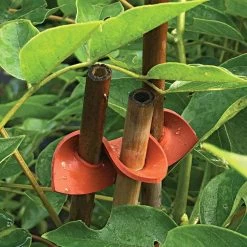 Connectors For Bamboo Stakes Pack Of 500 -Garden-green plant growth care vp gc500x 2