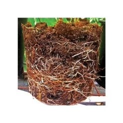 Grotab 3-in-1 Premium Plant Starter (12-8-4) -Garden-green plant growth care vp gt 2