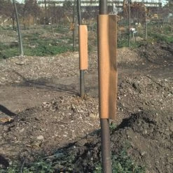 Paper And Foam Tree Hugger Guards, Bundle Of 100 -Garden-green plant growth care vp hdpg 1