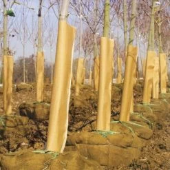 Paper And Foam Tree Hugger Guards, Bundle Of 100 -Garden-green plant growth care vp hdpg 2