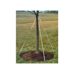 Leonard Green Tree Tie Webbing -Garden-green plant growth care vp ltg 4