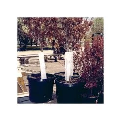 Poly And Foam Tree Guard, 500-Foot Roll Of Sheets -Garden-green plant growth care vp pftg 1