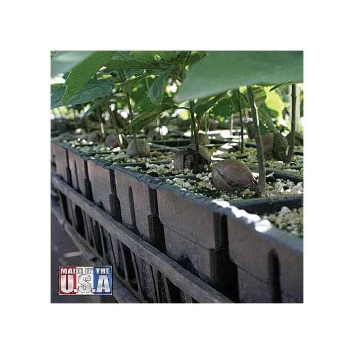 RootMaker Propagation Trays, Case Of 25 3 RootMaker Propagation Trays, Case Of 25