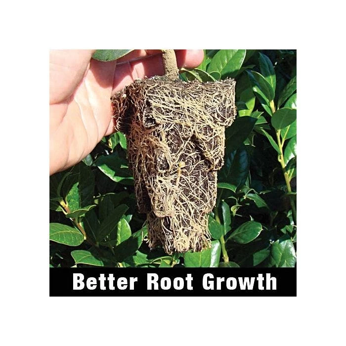 RootMaker Propagation Trays, Case Of 25 4 RootMaker Propagation Trays, Case Of 25 - Image 2