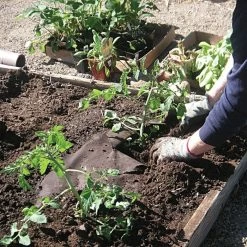 Biodegradable Paper Mulch, 3 Feet X 250 Feet -Garden-green plant growth care wg36250f 2