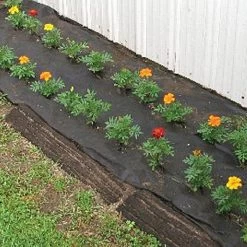 Biodegradable Paper Mulch, 3 Feet X 250 Feet -Garden-green plant growth care wg36250f 6