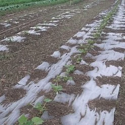 Biodegradable Paper Mulch, 4 Feet By 100 Feet -Garden-green plant growth care wg48100f 8