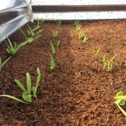 Wonder Soil Expand & Plant Organic Planting Mix, 2.5 Cu. Ft. 8 Wonder Soil Expand & Plant Organic Planting Mix, 2.5 Cu. Ft. -Garden-green plant growth care wsepoc25 2